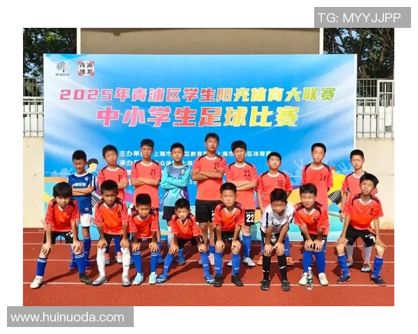 球星贴纸收藏足球精彩瞬间展现绿茵场上激情与荣耀